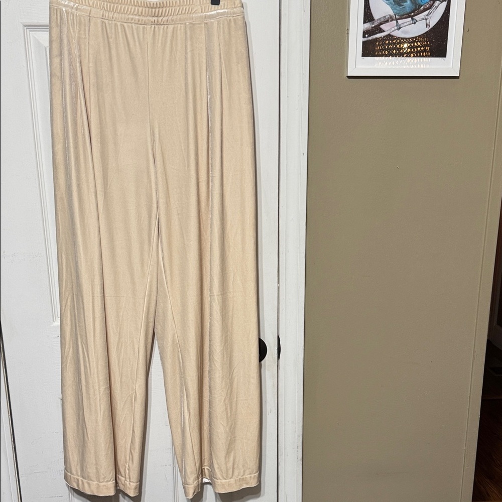NWT Roucha Vaga Pant Ecru Cream Velvet Wide Leg Pants Size CC/12 W 14”